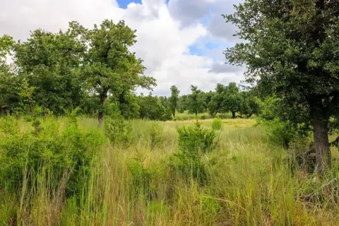Fredericksburg Acreage with Mature Trees