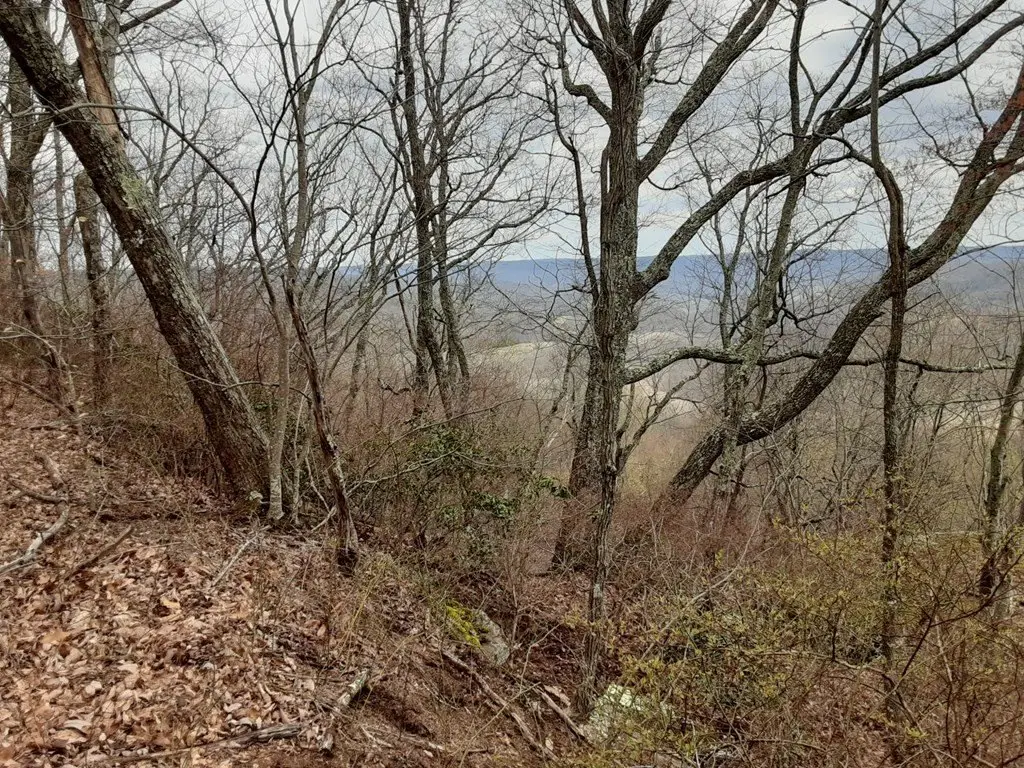 Picture 6