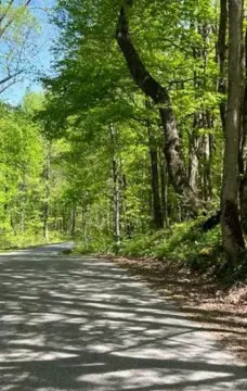 95 Acres Unrestricted Land