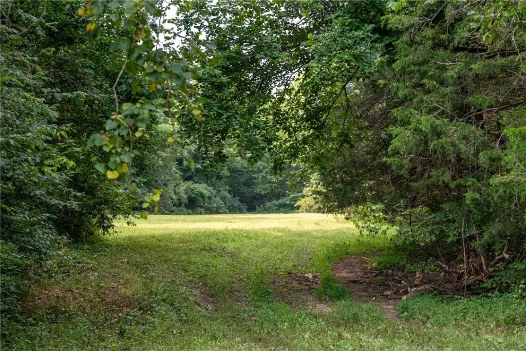 Picture 37