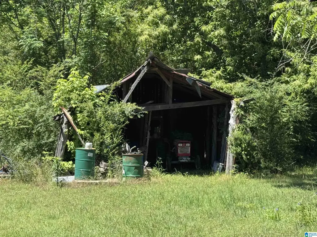 Picture 12