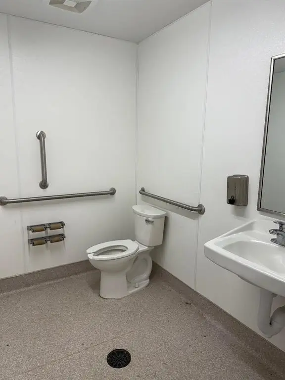 Picture 5