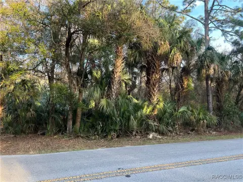 Picture of Land at N Basswood Ave 8523, Crystal River, FL