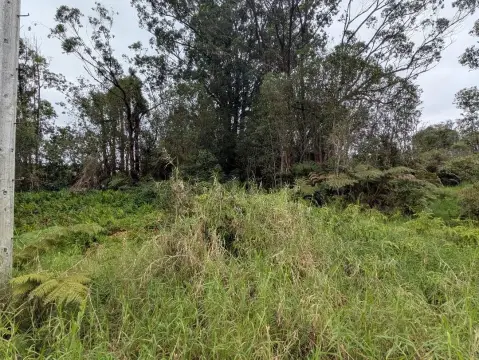 Vacant Land Near Volcano