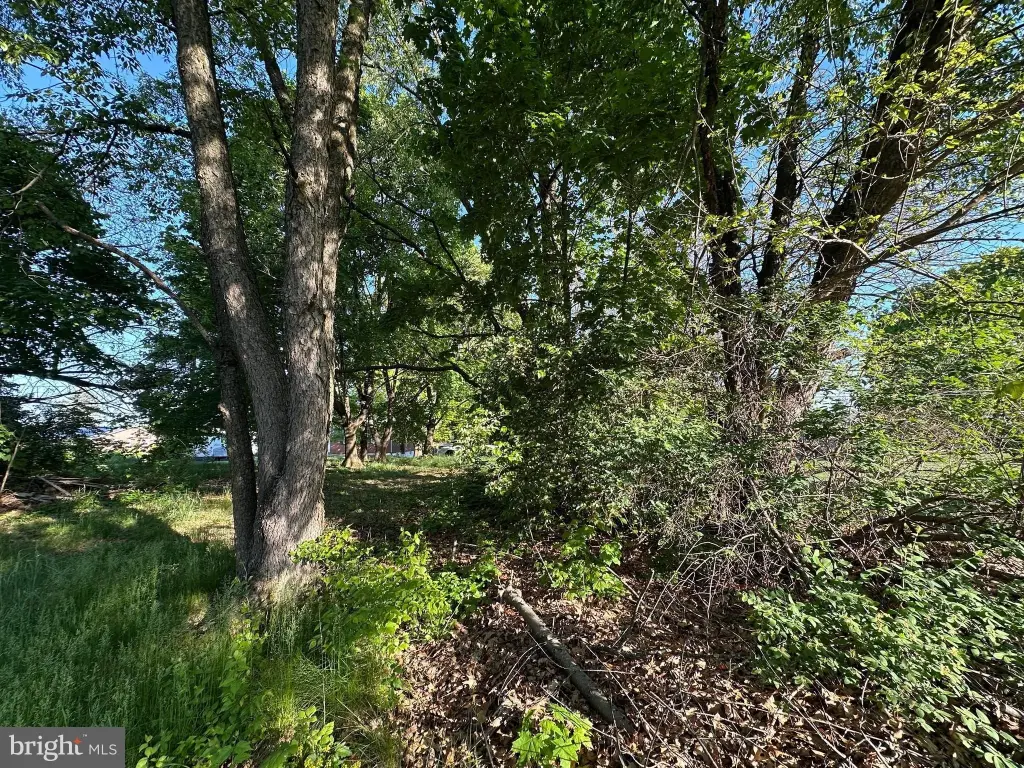 Picture 16