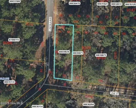 Wooded Lot in Vass, NC