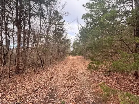 Hartford Residential Land Near Forest
