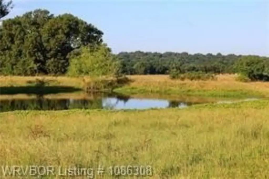 Picture 12
