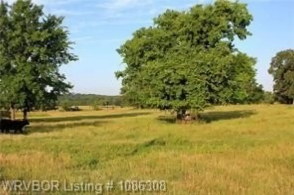 Picture 21
