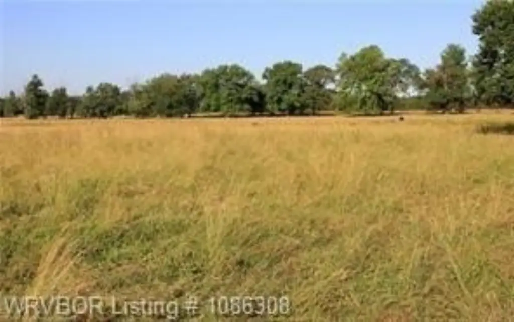 Picture 37