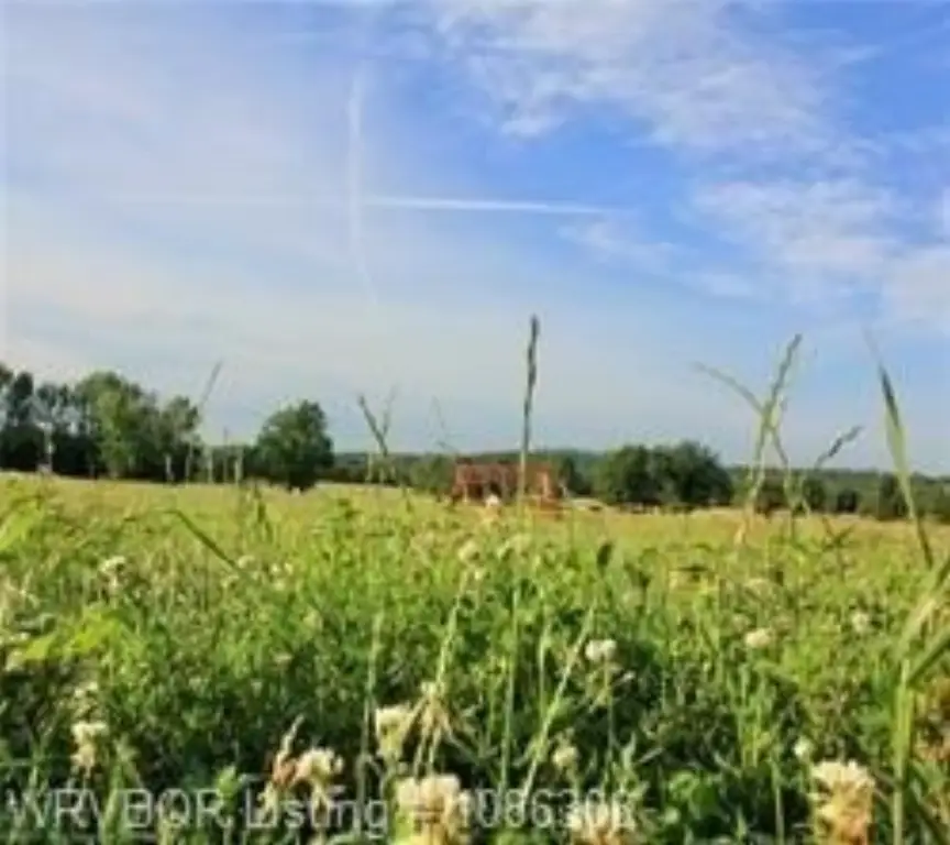 Picture 30