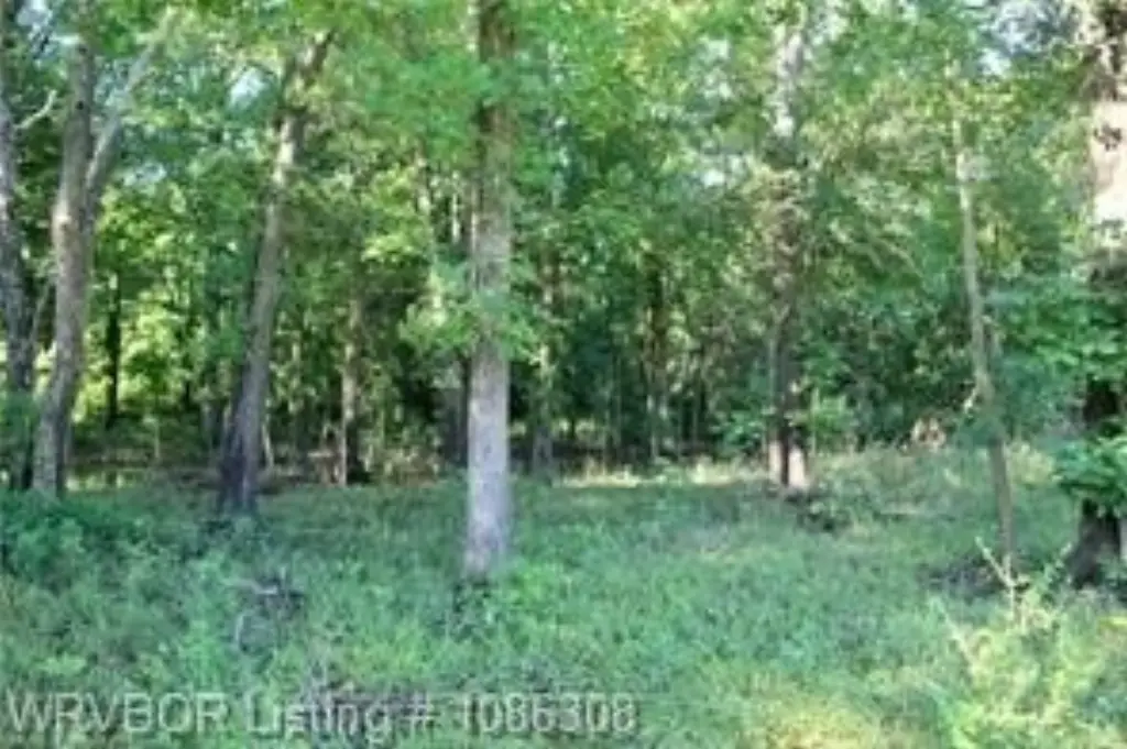 Picture 16