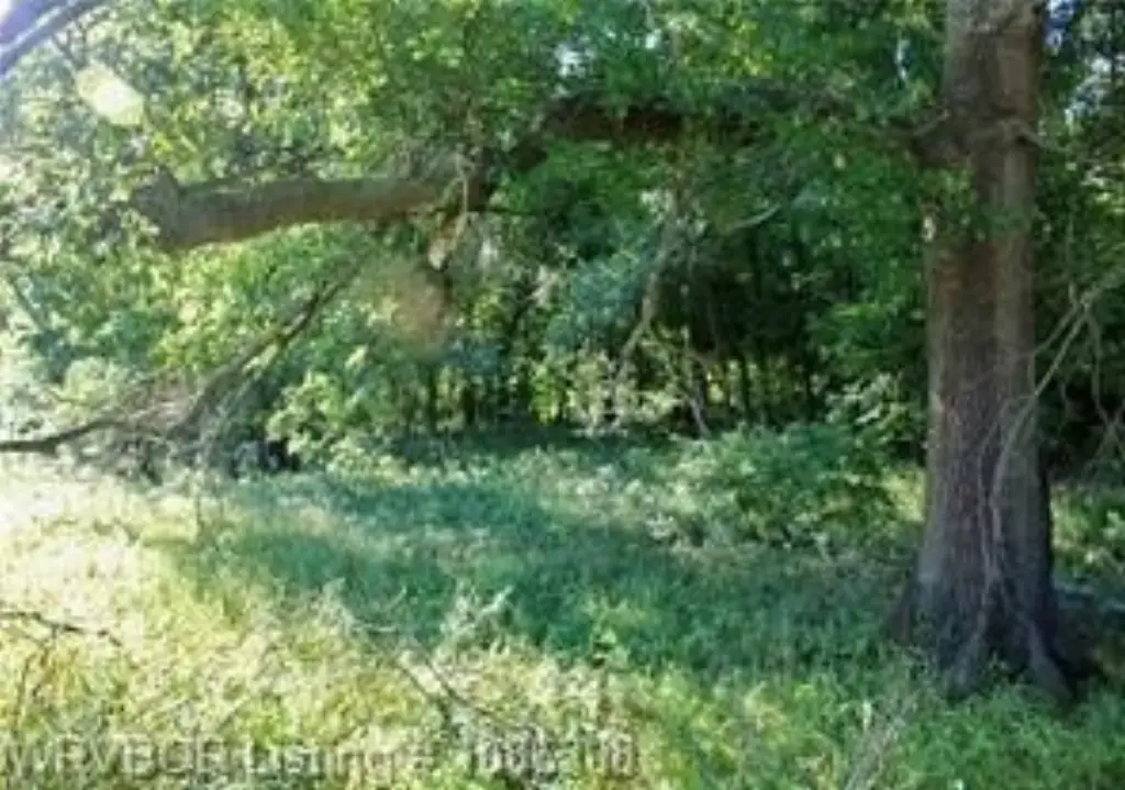 Picture 17