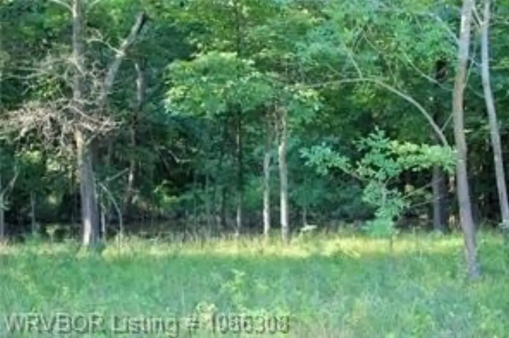 Picture 15