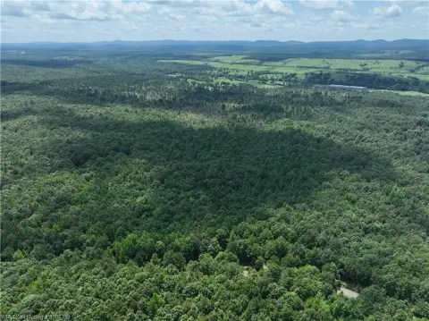 15 Acre Hunting Land in Watson, OK