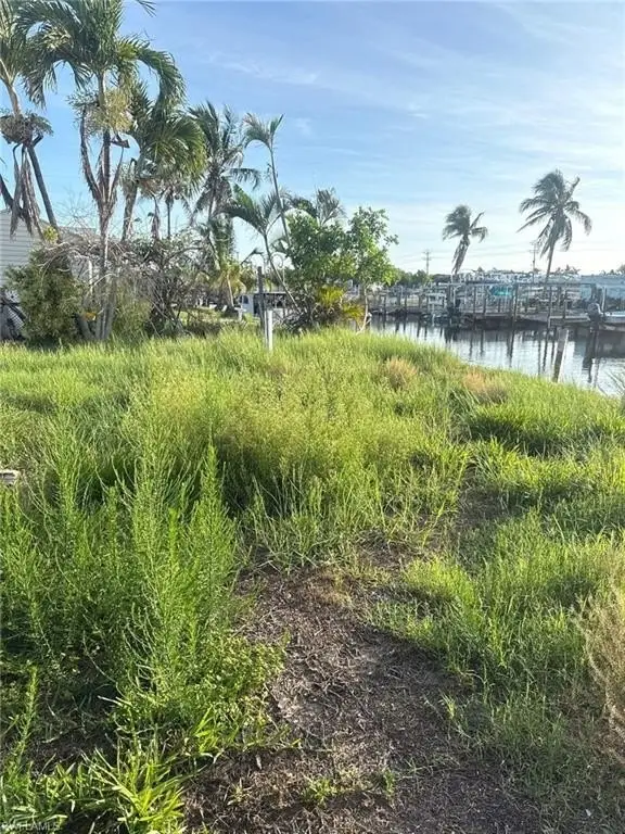 Picture 3