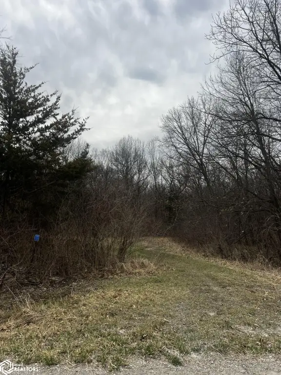 Picture 23