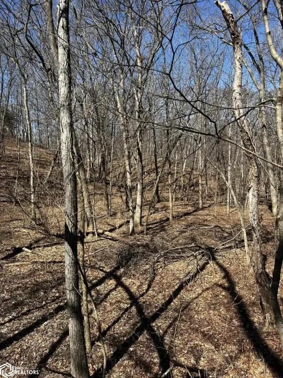 Picture 17