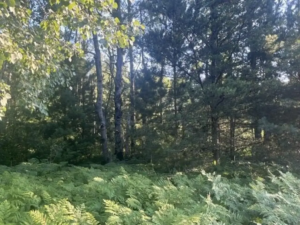 Picture 11