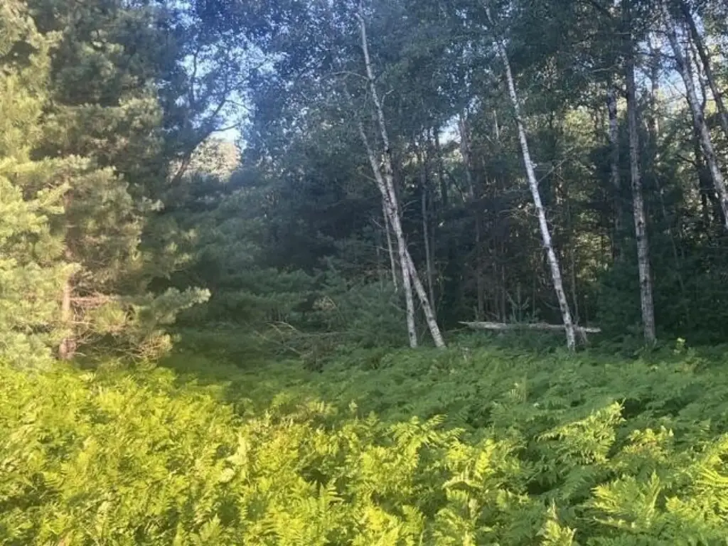 Picture 14