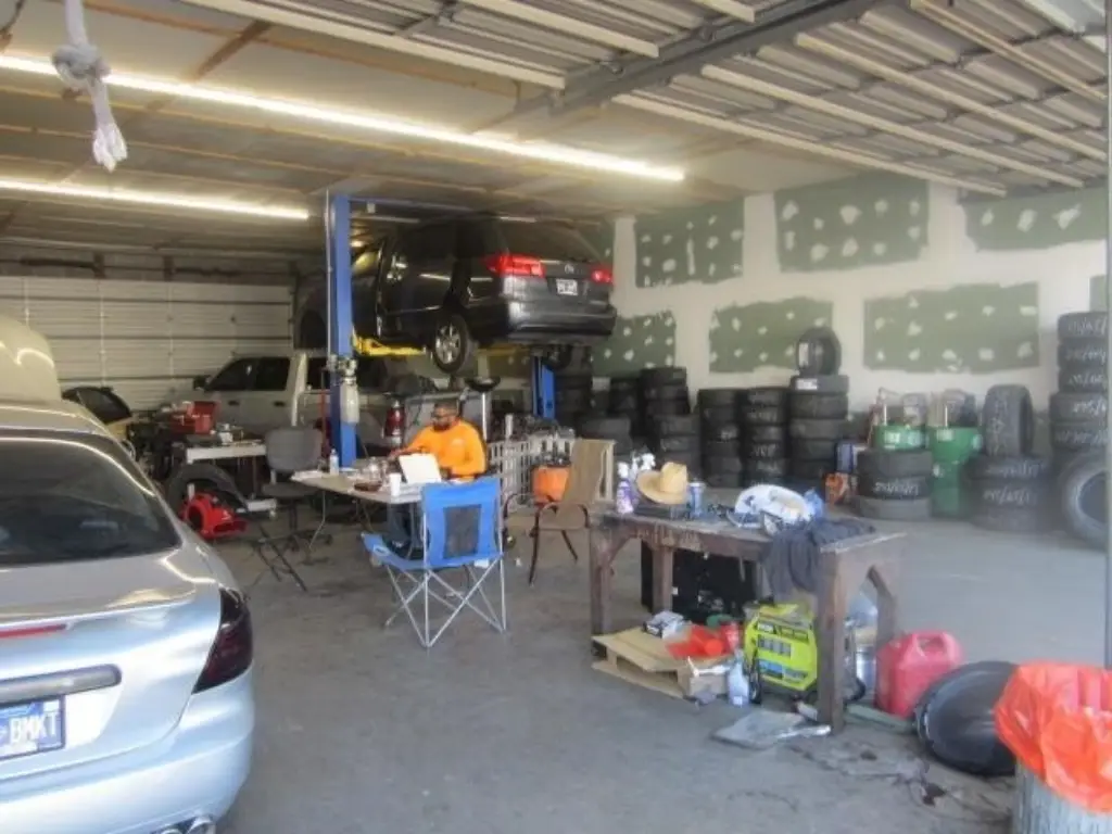 Picture 5