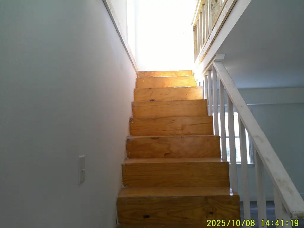 Picture 11