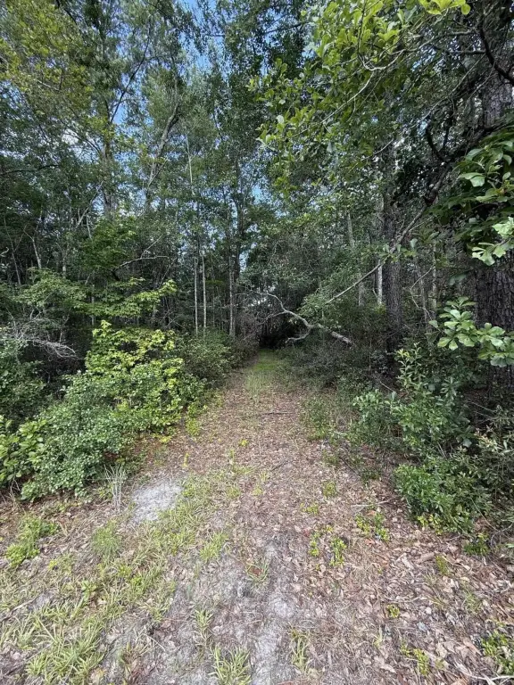 Picture 30
