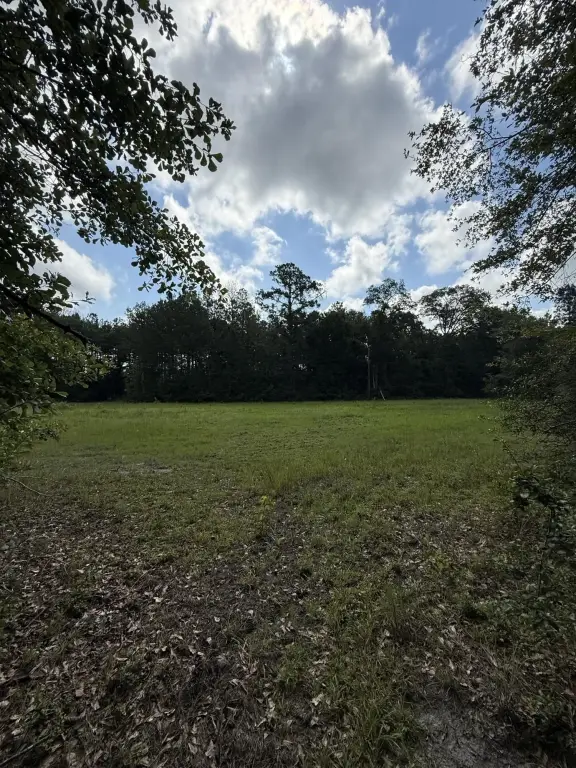 Picture 29