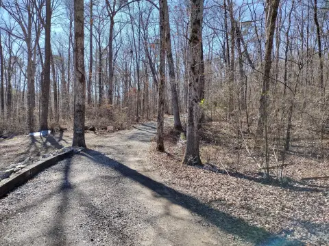 Wooded Acres Near Duskin Point Marina