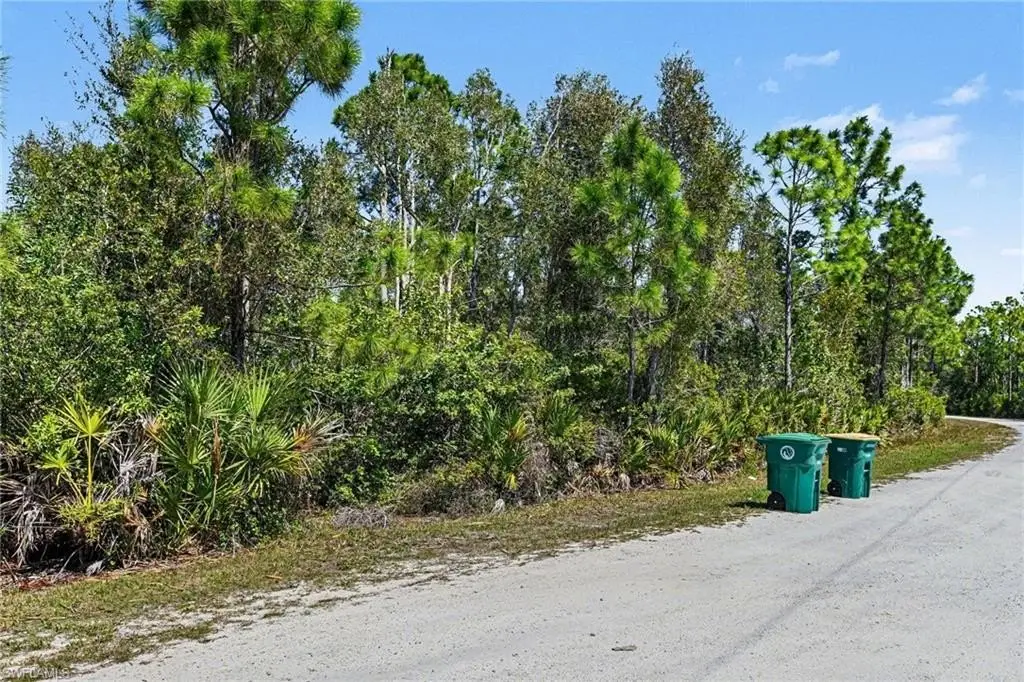 Picture 6