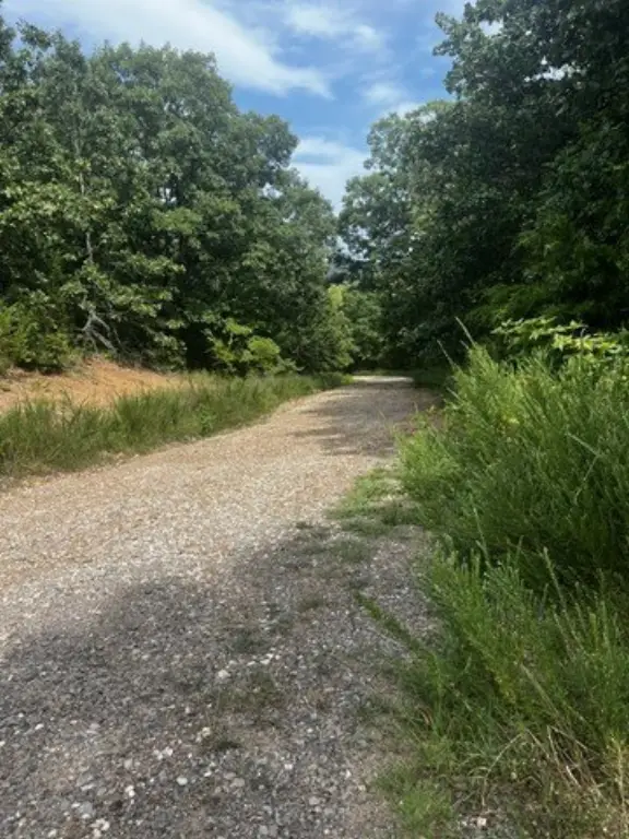 Picture 19