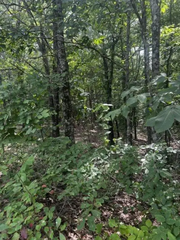 Picture 18