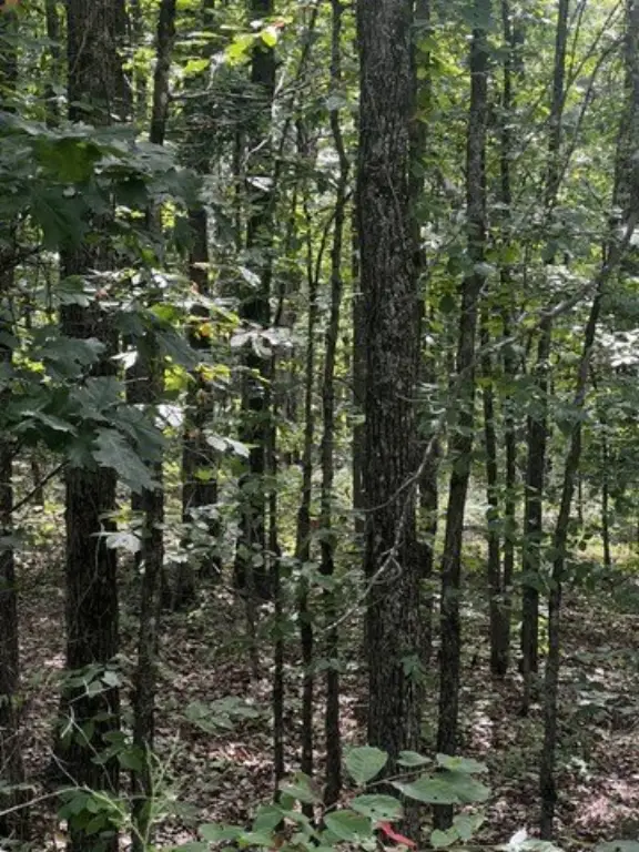 Picture 17