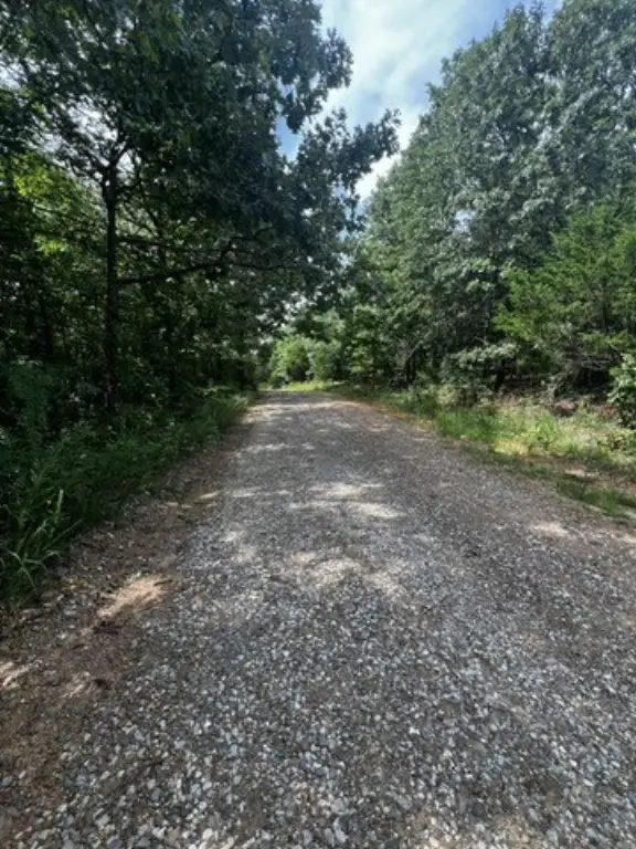 Picture 23