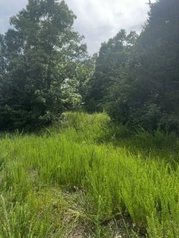 Picture 21
