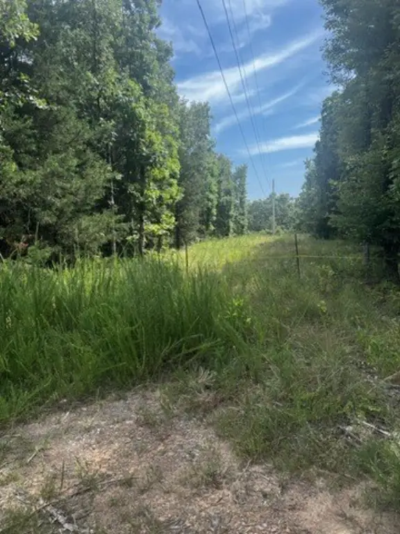 Picture 16