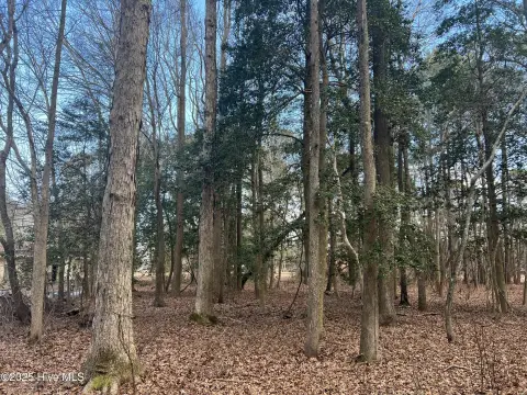 Macclesfield Land With No Restrictions