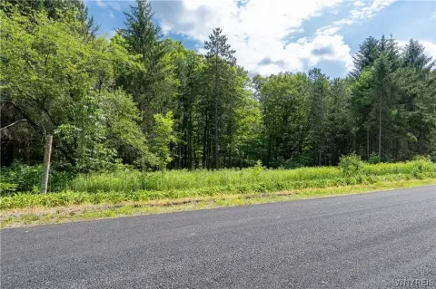 Commercial Land Near Resort Access