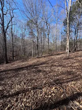 Land in Clearwater Creek Community