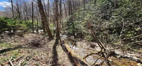Wooded Land with Creek Access