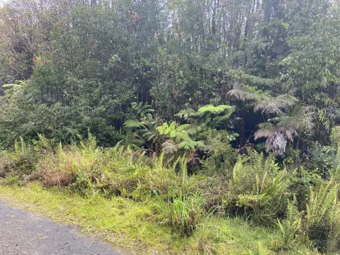 Wooded Lot in Glenwood Gardens
