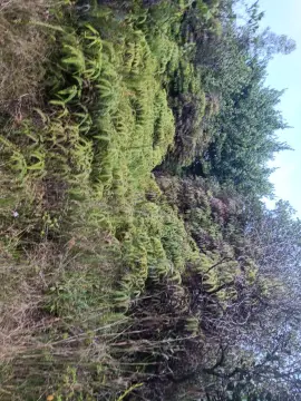 Land for Agricultural Development