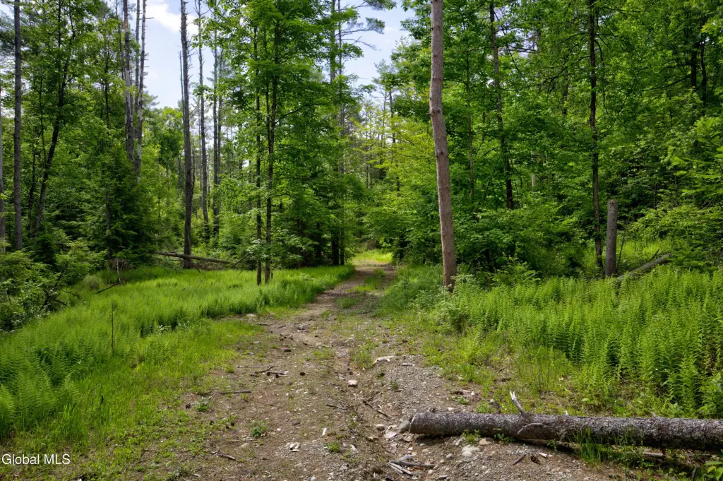 Picture 9