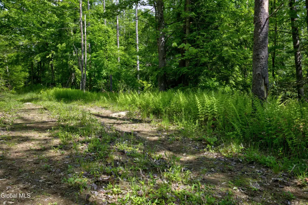 Picture 16