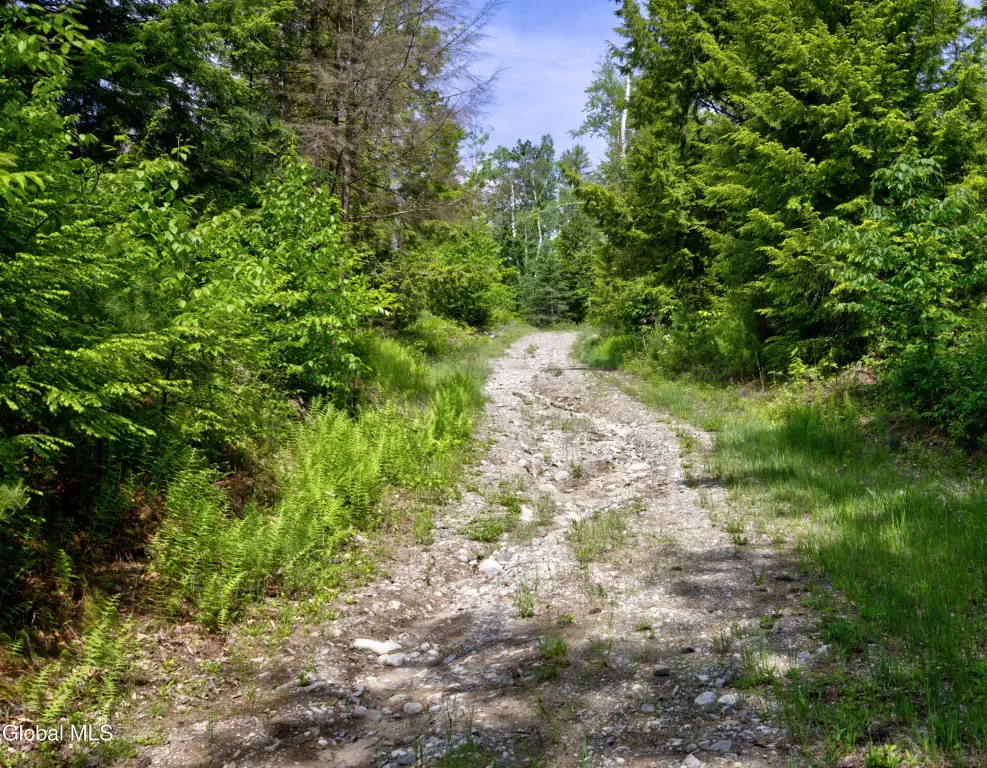 Picture 18
