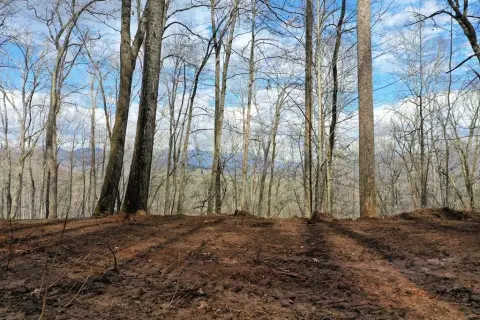 Cleared Lot in Webster, NC