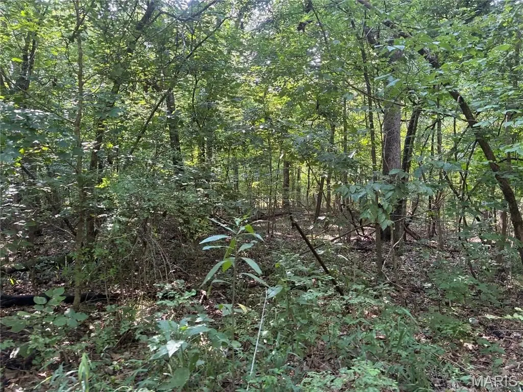 Picture 17
