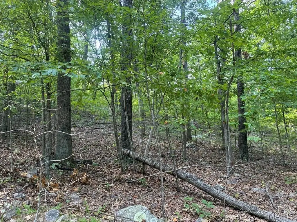 Picture 12