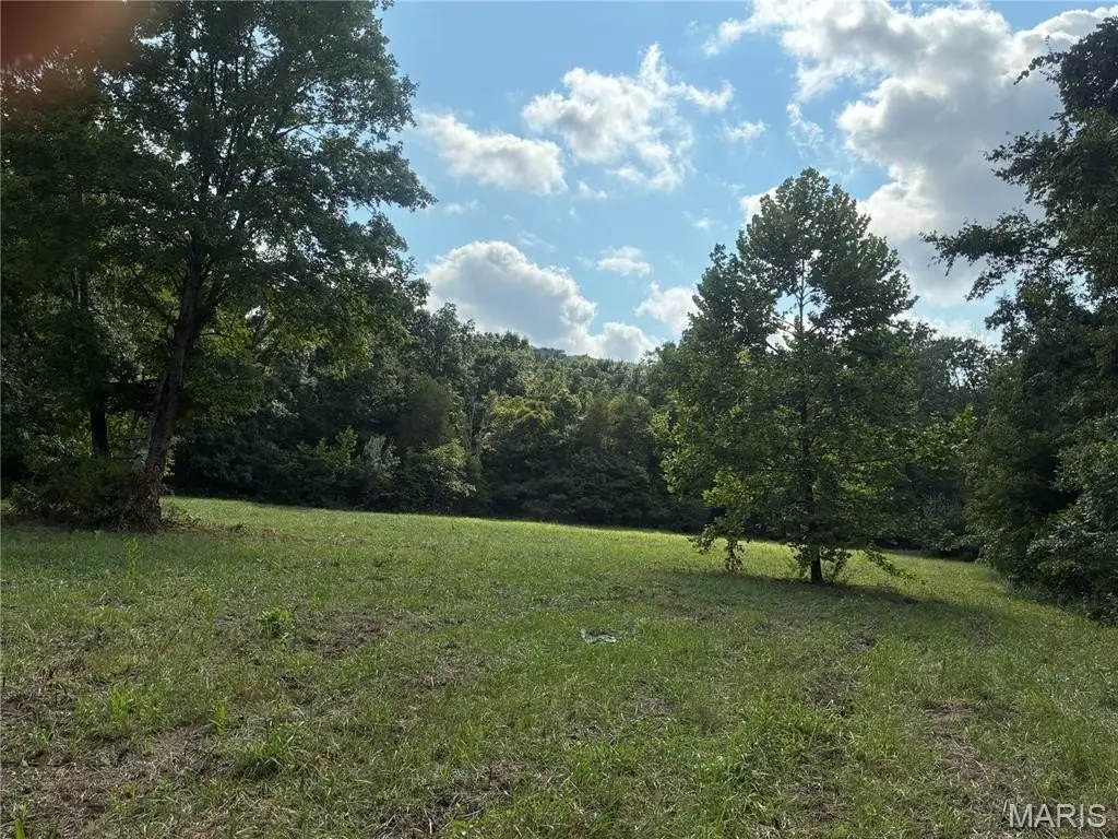 Picture 6