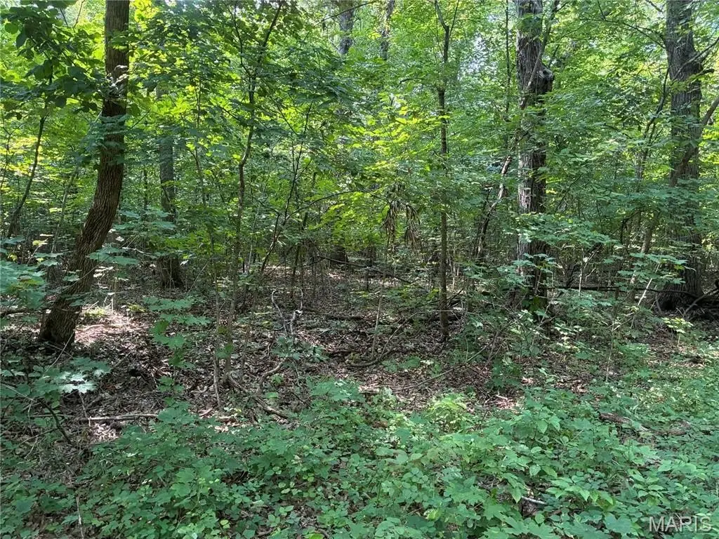Picture 16